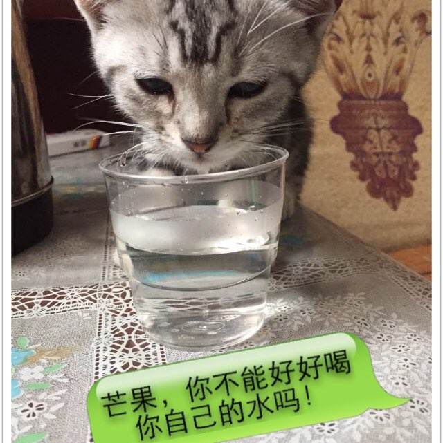 波兰签证哪里可以做假的